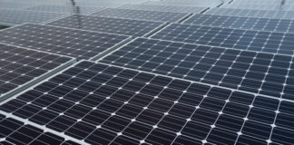 Rodonaves investe em projeto de energia renovável