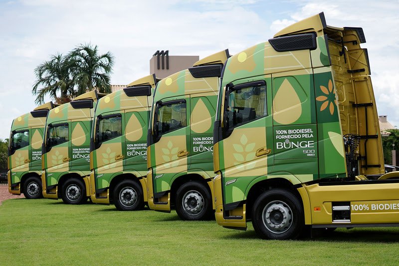 Bunge e Martelli Transportes