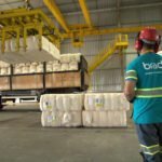 Brado fortalece logística do algodão brasileiro