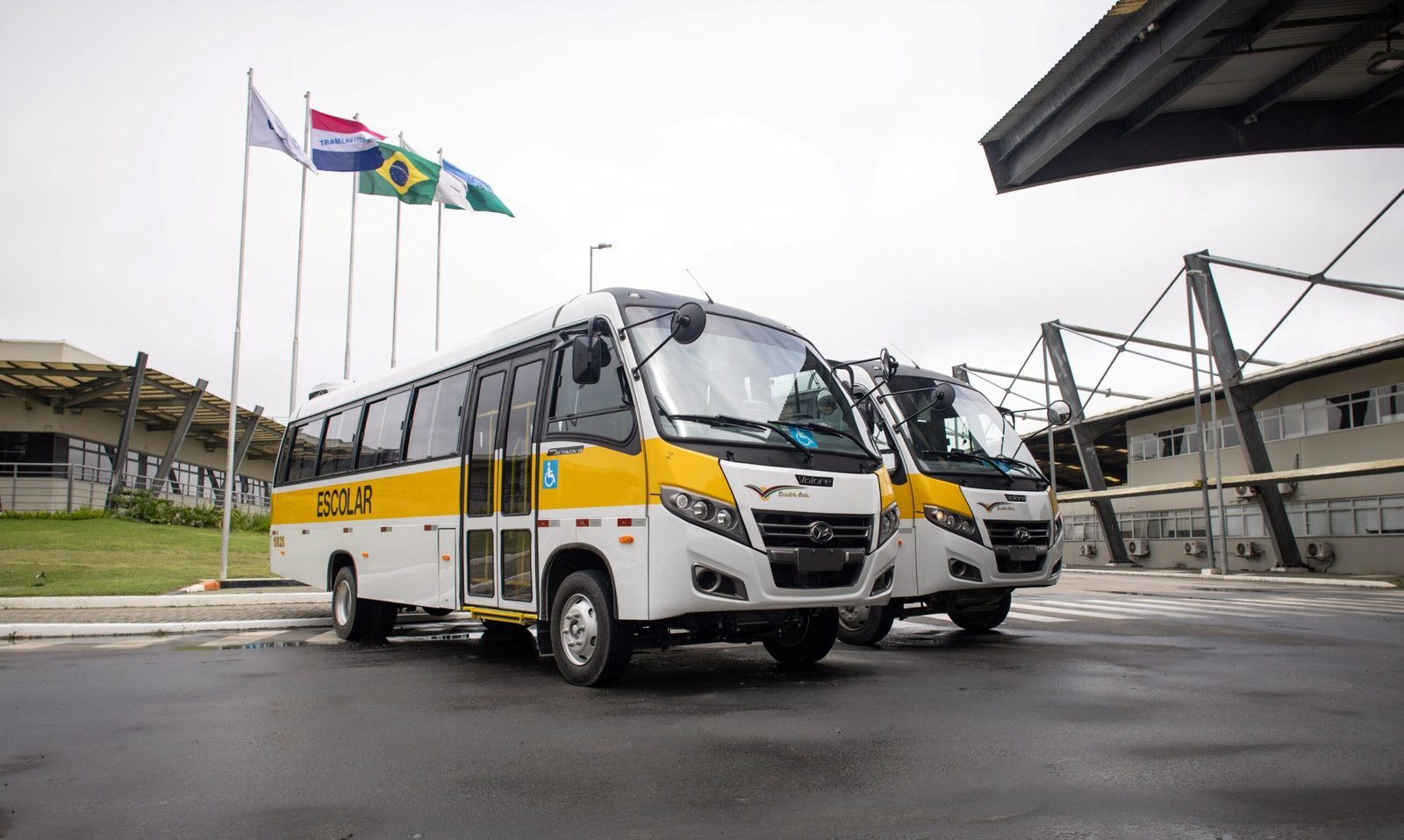 Volare avança no transporte escolar de São Paulo