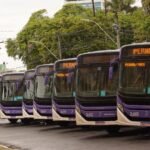 MobiBrasil Pernambuco renova frota com 80 chassis Mercedes