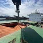 VLI inicia movimentação ferroviária de sorgo