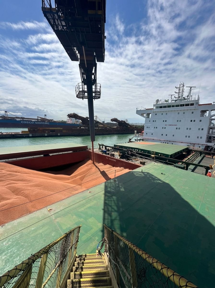 VLI inicia movimentação ferroviária de sorgo