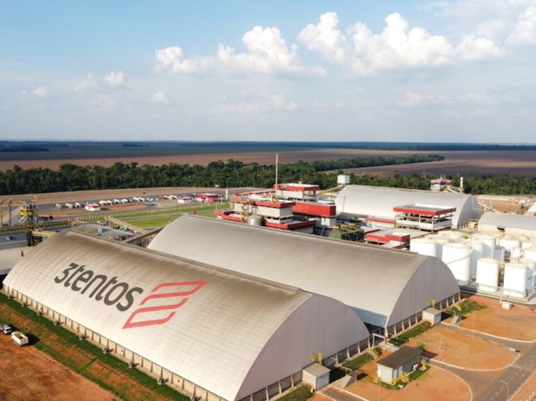 3TENTOS – VERA 3TENTOS - VERA