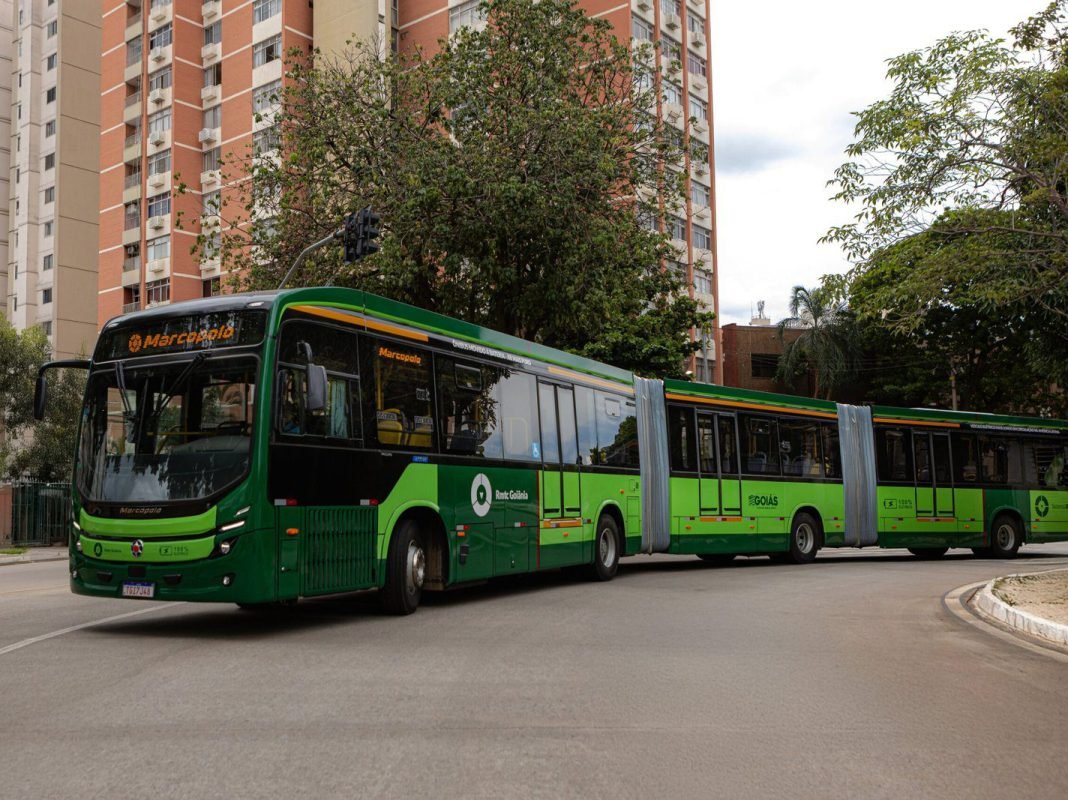 Biarticulado Goiânia - 02.26