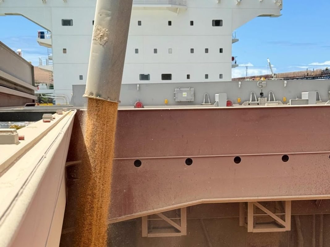 VLI - TUBARÃO - 10.25